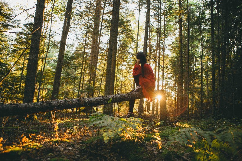 Reciclaje natural: ¿Cómo recicla la naturaleza?